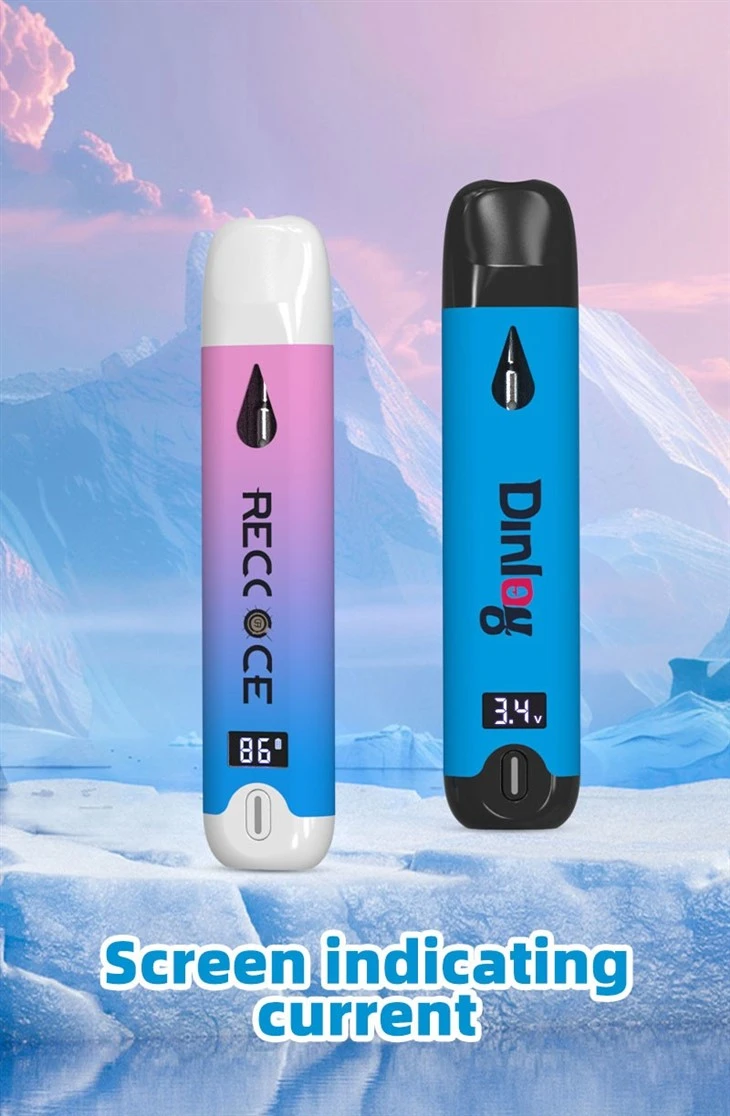 D9 Empty Disposable E-Cigarette 2 Gram Vape Puff Bar For Live Resin Rosin Thick Oil Ceramic Coil Tank Pod Cart Vape